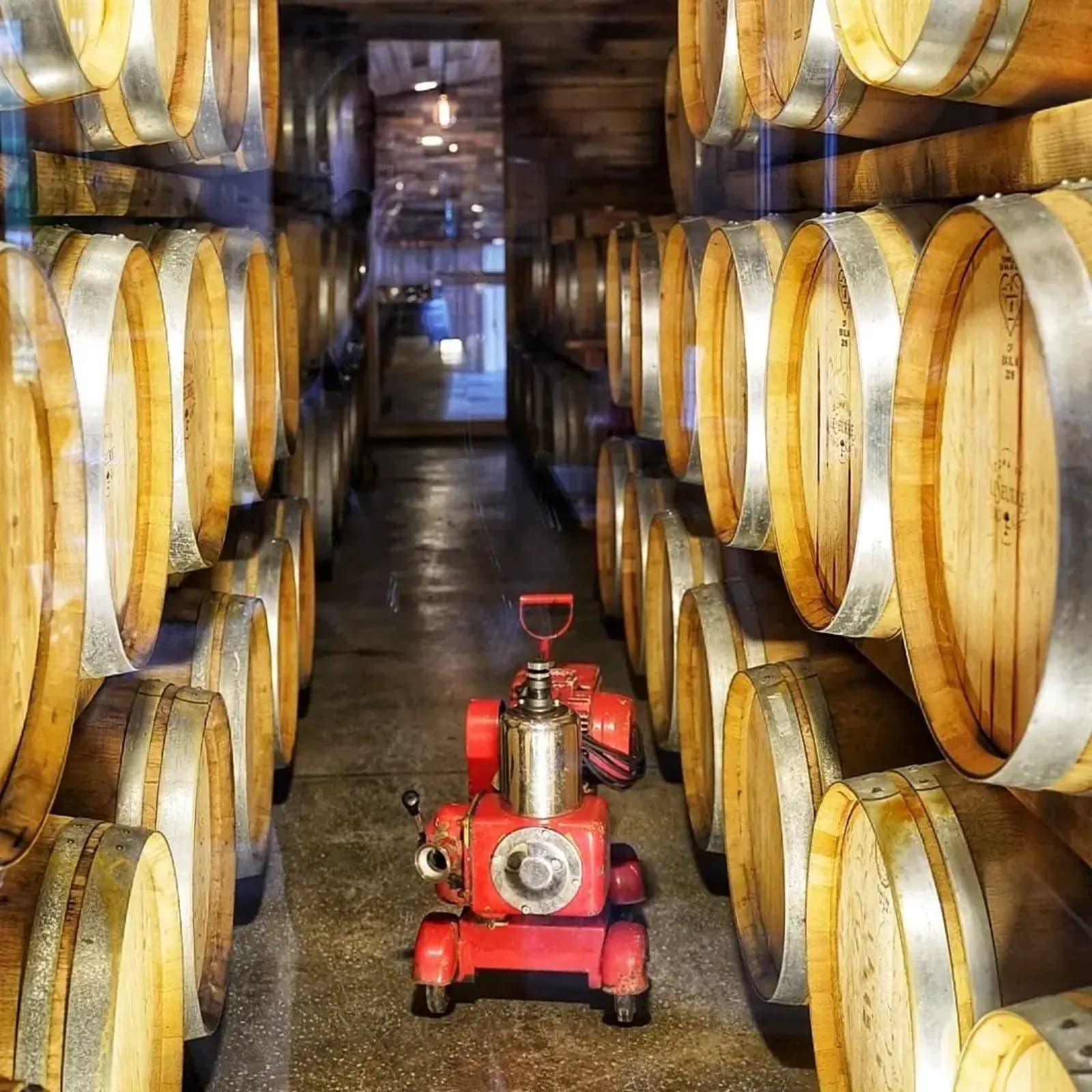 Barrels resting in a cellar