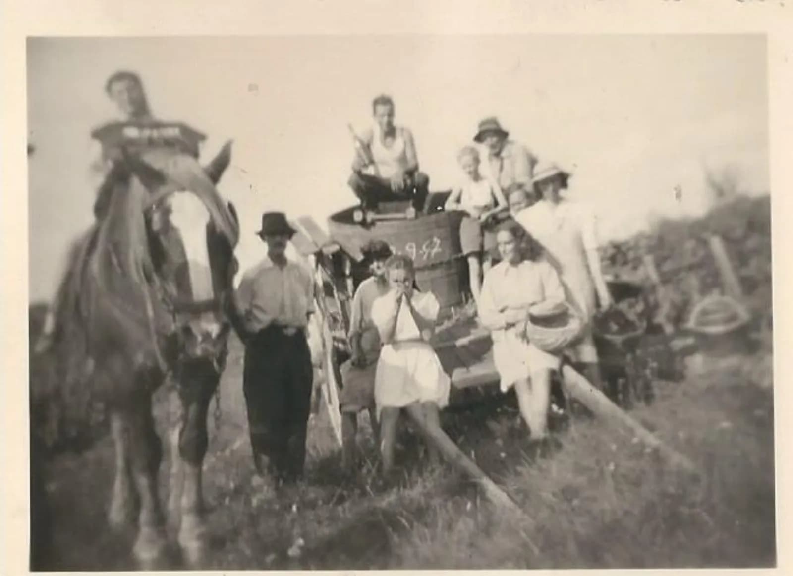 Archival photograph of a family harvest in the Champagne region of France, 1947